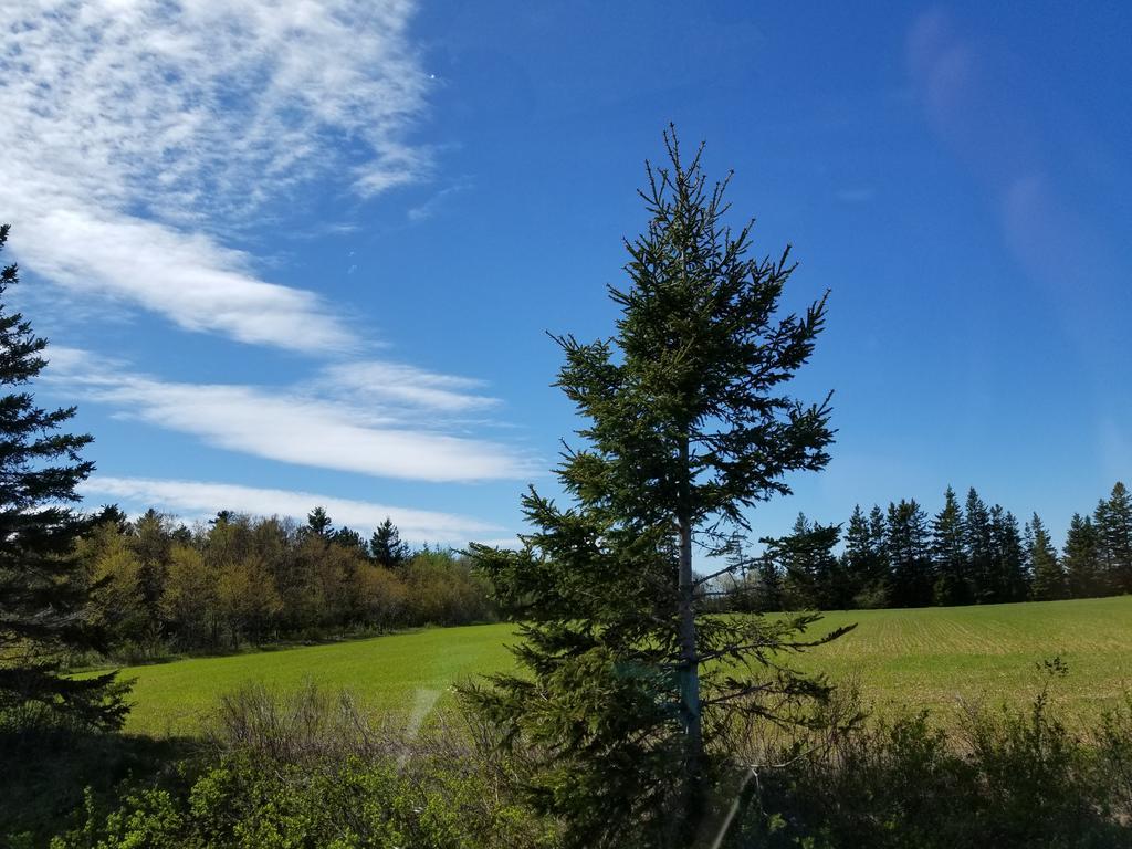 ホテルMerry Stanhope Chalets エクステリア 写真